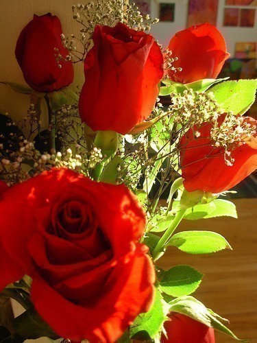 just for you mu love